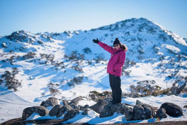alex top Mt. Blue cow